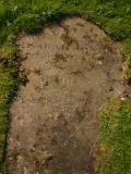 image of grave number 16490